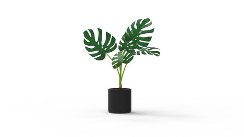 A covert audio surveillance device disguised as an ordinary object found in many homes and offices, this particular model is an artificial plant found in many office & hardware supply stores across North America.